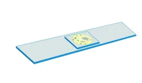 Mitosis stages slides 575135 شرائح مراحل الانقسام الميتوزي